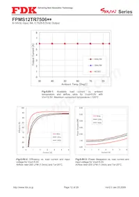 FPMS12TR7506PA 데이터 시트 페이지 12