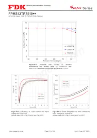 FPMS12TR7510PA Datasheet Page 12