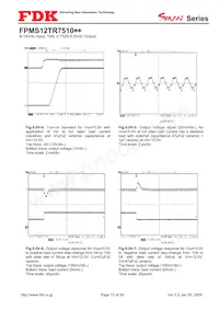 FPMS12TR7510PA Datasheet Page 13