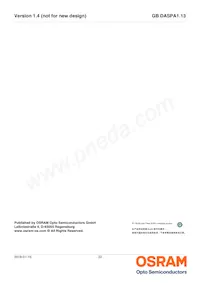 GB DASPA1.13-DUEP-34-M-100-R18-XX Datasheet Pagina 22