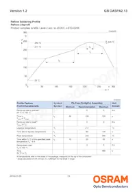 GB DASPA2.13-DUEQ-24-LM-100-R18 Datasheet Pagina 13