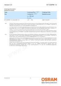 GT CS8PM1.13-LQLS-45-1-350-R18-LM Datasheet Page 2