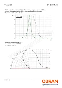 GT CS8PM1.13-LQLS-45-1-350-R18-LM Datasheet Page 7