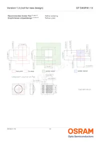 GT DASPA1.13-GSGU-45-MP-100-R18-XX 데이터 시트 페이지 12