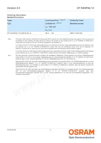 GT DASPA2.13-HQHS-35-JL-100-R18 Datasheet Page 2