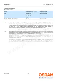 GT PSLM31.13-HRHT-26-KM-100-R18 Datasheet Page 2