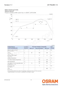 GT PSLM31.13-HRHT-26-KM-100-R18 Datasheet Page 13