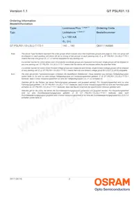 GT PSLR31.13-LSLU-T1T2-1-150-R18 Datasheet Pagina 2