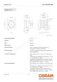 GW CSSRM1.BM-MPMR-XX55-1 Datasheet Pagina 14