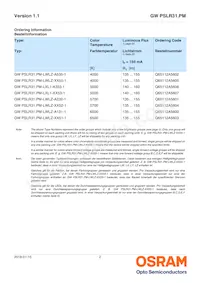 GW PSLR31.PM-LYL1-XX55-1-150-R18-XX Datenblatt Seite 2