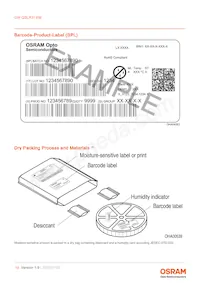 GW QSLR31.EM-LWLY-XX51-1-150-R18 Datasheet Pagina 19