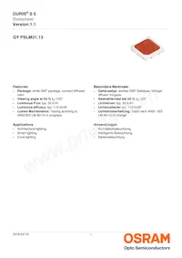 GY PSLM31.13-HQHS-5F5G-L2M2-100-R18 Datasheet Cover