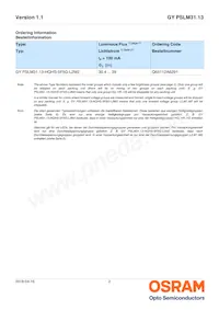 GY PSLM31.13-HQHS-5F5G-L2M2-100-R18 Datasheet Pagina 2