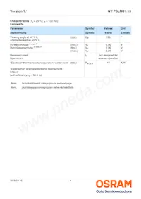 GY PSLM31.13-HQHS-5F5G-L2M2-100-R18 Datasheet Pagina 4