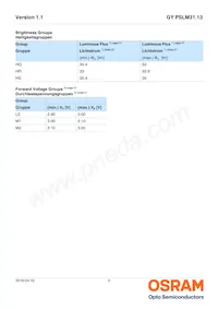 GY PSLM31.13-HQHS-5F5G-L2M2-100-R18 Datasheet Pagina 5