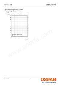 GY PSLM31.13-HQHS-5F5G-L2M2-100-R18 Datasheet Page 11