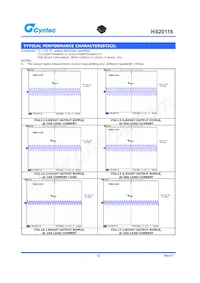 HS20116 Datasheet Page 12