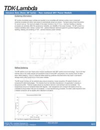 IBF12012A007V-001-R數據表 頁面 12