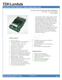 IQG48025A120V-101-R Datasheet Cover