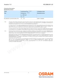 KS DMLN31.23-FZHX-68-J3T3-200-R18-Z Datasheet Page 2