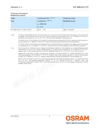 KY DMLS31.FY-7KF7L-5F-1 Datasheet Page 2