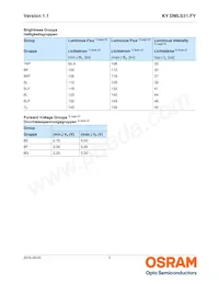 KY DMLS31.FY-7KF7L-5F-1 데이터 시트 페이지 5