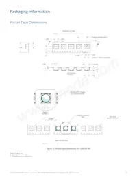 L1MX-579003V000000 Datasheet Pagina 17