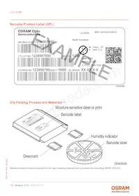 LCY CLBP-KZLY-5F5G-8E8G-350-S Datenblatt Seite 16