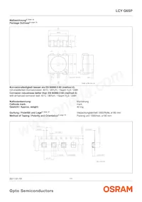LCY G6SP-CBDB-5E-1-140-R18-Z Datasheet Page 11