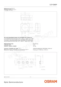 LCY G6SP-CBDB-5E-1-140-R18-Z Datasheet Pagina 11