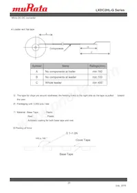 LXDC2HL25G-341 Datasheet Page 20