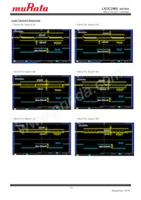 LXDC2MB18G-425數據表 頁面 13