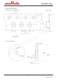 LXDC2MB18G-425 Datenblatt Seite 18