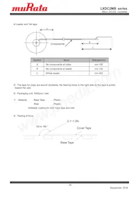 LXDC2MB18G-425 Datasheet Page 20