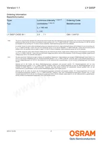 LY G6SP-CADB-36-1-Z Datasheet Page 2