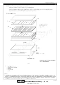 MYBEA01210CZTB Datasheet Pagina 13