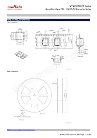 MYMGK1R812FRSR Datasheet Pagina 17