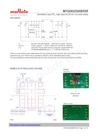 MYSGK02506BRSR數據表 頁面 13