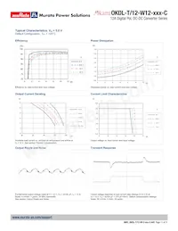 OKDL-T/12-W12-001-C Datenblatt Seite 11