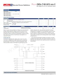 OKDY-T/40-W12-001-C數據表 頁面 2