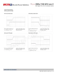 OKDY-T/40-W12-001-C Datasheet Page 10