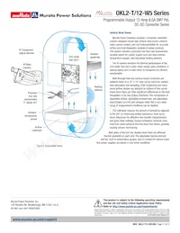 OKL2-T/12-W5P-C Datasheet Page 17