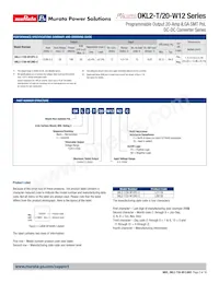 OKL2-T/20-W12N2-C Datasheet Pagina 2