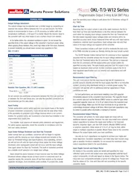 OKL2-T/3-W12P-C Datasheet Page 13