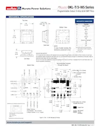 OKL2-T/3-W5N-C Datenblatt Seite 11