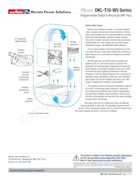 OKL2-T/6-W5N-C Datasheet Page 17