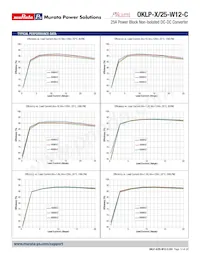 OKLP-X/25-W12-C Datasheet Pagina 12