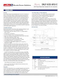 OKLP-X/25-W12-C Datasheet Page 15