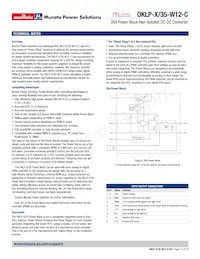 OKLP-X/35-W12-C Datasheet Pagina 13