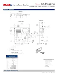 OKR-T/20-W12-C Datasheet Page 10
